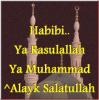 alsunna org habibi