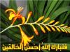 Ponder in Nature - TabarakAllah