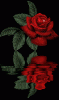 dynamicRose