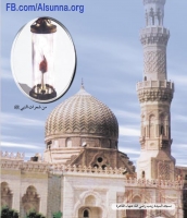 masjid sayida zaynab مسجد السيدة زينب