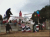 bullfighting