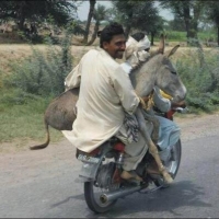 Send this Funny Picture (13)