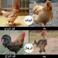Examples of Before After Marriage مثال قبل وبعد الزواج