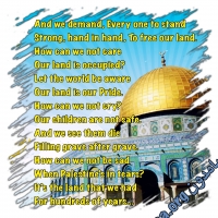 Palestinian Quotes فلسطين