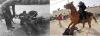 palestinians vs jews (20)