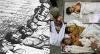 palestinians vs jews (34)