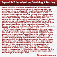 Aqeedah Tahawiyah English (7)