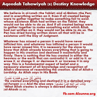 Aqeedah Tahawiyah English (8)