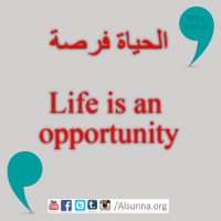English Provers Arabic Quotes (69)