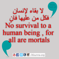 English Provers Arabic Quotes (77)