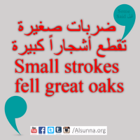 Proverbs Maxims Aqwal Quotes (24)