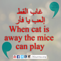 Proverbs Maxims Aqwal Quotes (6)