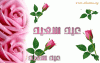 Happy Eid