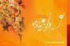 Fitr Mubarak
