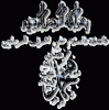 Muhammad (Salatullahi ^Alayhi)
