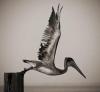 006 animals1