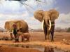 034 animals1