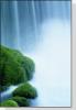 Water Falls