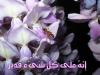 Allah is able to do whatever he wills