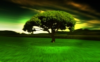 Alsunna.org Natural Wallpapers (20)