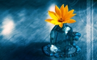 Alsunna.org Natural Wallpapers (2)