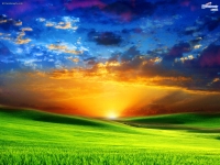 Alsunna.org Natural Wallpapers (6)