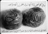 Name of Allah and Muhammad