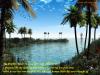 Islamic Wallpaper