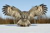 Amazing Pictures nature alsunna.org (19)