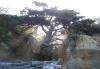 Amazing Pictures nature alsunna.org (4)