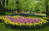 Flowers Sping Roses (8)