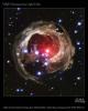 Space - Like a Red Rose
