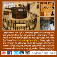Islamic Nature Quotes (2)