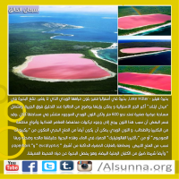 Islamic Nature Quotes (6)