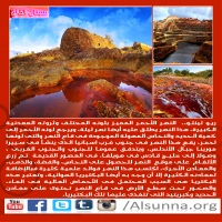 islamic nature quotes  9