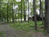 Camp Site