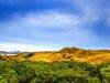 vista-wallpaper-fair-prairie