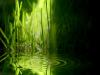 vista-wallpapers-15