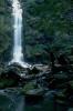 water falls nature (25)